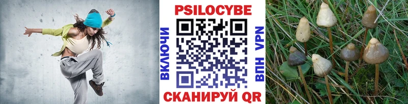 Галлюциногенные грибы Cubensis  omg сайт  Киренск 